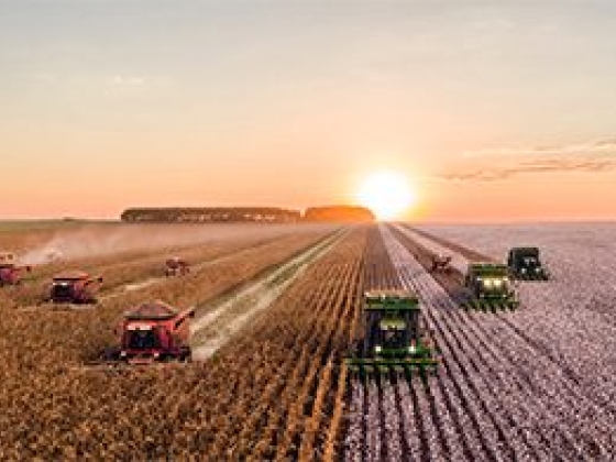 AGRICULTURE, FARMING, FORESTRY, AND FISHING